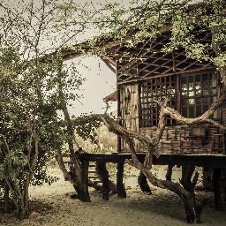 3PuntasEcoHoste's profile picture. Grillo 3 Puntas EcoHostel sobre la playa dentro de una gran área natural con una eco-arquitectura y estilo único en la costa norte del Pacifico Peruano...