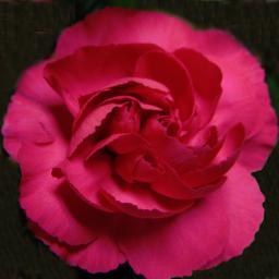 Etsy shop owner:  Ziva Kreations
I make handcrafted jewelry and crafts, many from upcycled materials!