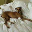 simone herman - @sherman124 - Twitter