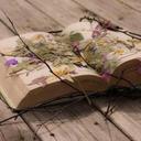 Perla Bianca - @PerlaBianca6 - Twitter