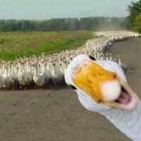 Funny Tweets (@thefunniestpuns) 's Twitter Profile Photo