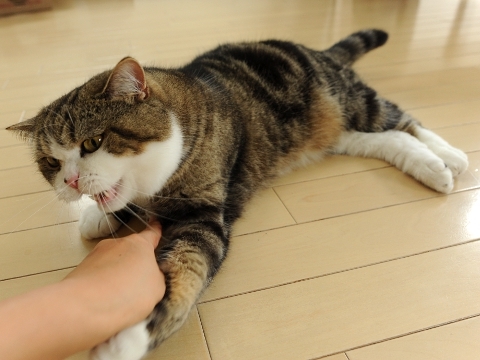 laugh_info1's profile picture. 