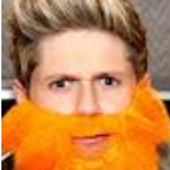 69PotatoDoNiall's profile picture. POTATOOOOOOOOOOOOOO :)

Se seguir sigo de volta (=