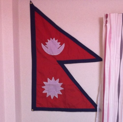 nplrose's profile picture. 