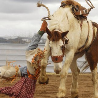 DustilyWithers's profile picture. Just tryin to get that all around cowboy buckle and   Old time cowboy. Texes Tec Red Redders