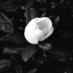 Marianne (@spiritedcretin) Twitter profile photo Marianne (@spiritedcretin) Twitter profile photo