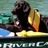 hwgowild's profile image