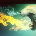 christopher lunn - @chrislunn5 - Twitter