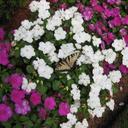 Maria Heider - @MariaHeider - Twitter