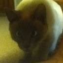 August Pearson - @augustpsp - Twitter