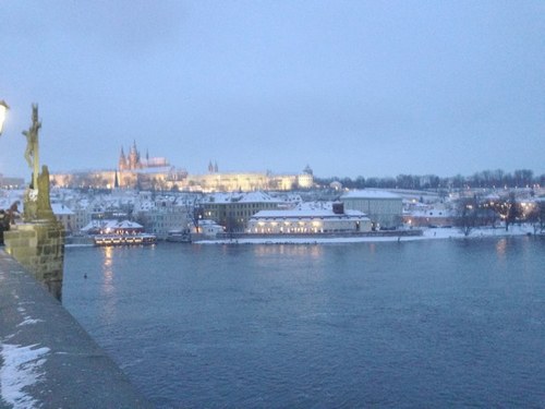 vesuvim's profile picture. 