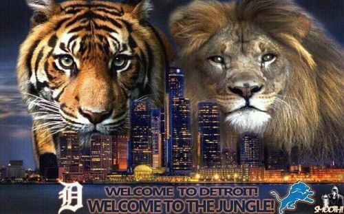 Lions football is my life, also a die hard Tigers, Red Wings, and Piston fan. I love to read sci-fi/fantasy and watch all the shows on the paranormal.
