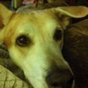 tim kirby - @timkirby1 - Twitter