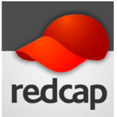 Menara Jamsostek, North Tower 23rd Floor
Jl. Gatot Subroto No. 38, Jakarta Selatan 12710
T 62-21-5296-4215 F 62-21-5296-4213
Facebook: Redcap Tour Indonesia