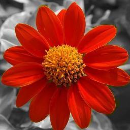 Believe deep down in your heart that you're destined to do great things. ~Joe Paterno | https://t.co/L7Ot2Bvonp
