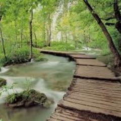 LearninTheParks's profile picture. 