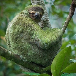 140 Character Comedian.
Part-Time Twerker.
Full Time Sloth.