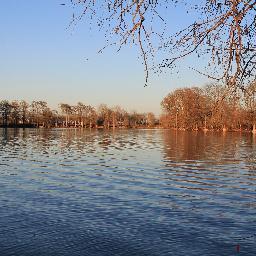 slamkin74's profile picture. 