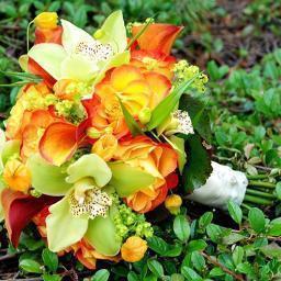 Boutique florist in Kitchener Waterloo. Fabulous  designs, no nasty plastics, chemicals or aerosols. Champions of locally grown and Fair Trade flowers.