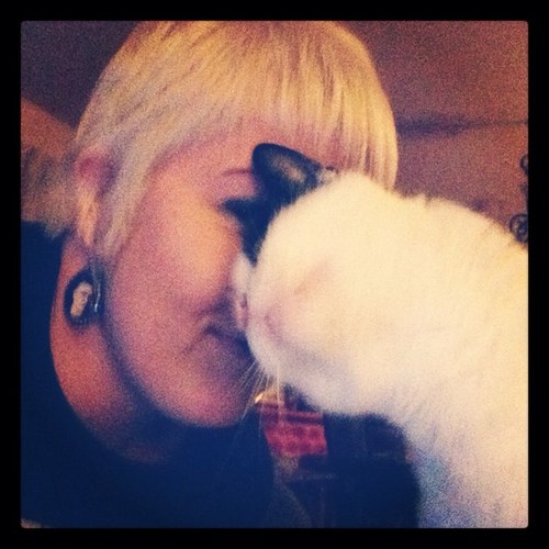 22. SoCal resident. DyingScene editor extraordinaire. Lover of all things cats and pizza