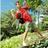 Bro_Dit's profile image