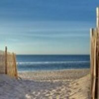 Patty McAdam (@plmick) 's Twitter Profile