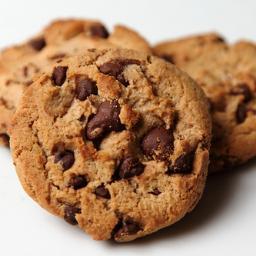 mr_galleta's profile picture. ey calamardo ey calamardo ey calamardo o.o