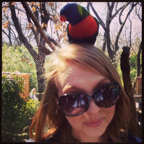 alishawctx's profile picture. I love @cannondaltx