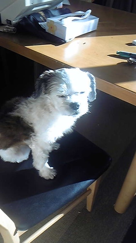 romancedawn942's profile picture. おっす！