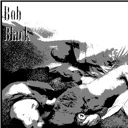 Bob Black and The Electro-Acousitc Heartattack are a Alternative-Soul Outfit from Brooklyn, NY. We will rock you. Trust us.