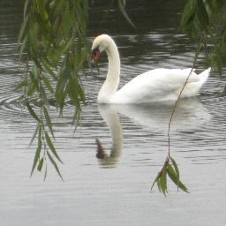 SailonSilver's profile picture. Empowering women of all ages everywhere.#women #empowerment
Tweets by writer-photographer Glenda MacDonald @glenda_macd