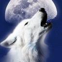 Roy Rosales Jr - @rjr_roy - Twitter