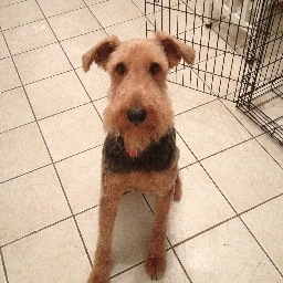 emsarji's profile picture. 