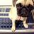 APTONE's profile image