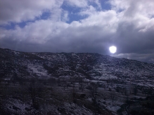 xshabugx's profile picture. 