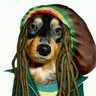 juan1990murcia's profile picture. 