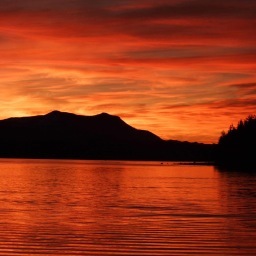 StanProbe's profile picture. 