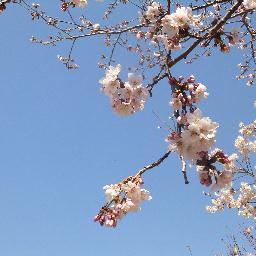 福岡県の北九州市に10年住んでいました。よろしくお願いいたします
m(_ _)m🍀