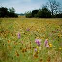 mckenna meyer - @mckennameyer2 - Twitter