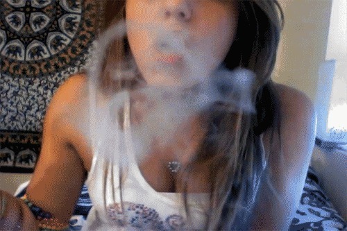 Puff me like an herb... Thoughts and random tweeds by yours truly. #highlife #marijuanalove 

Free Your Mind!