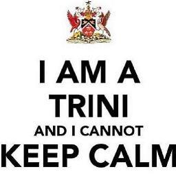 TriniSyl's profile picture. Overthinking mass of energy seemingly stuck on pause.