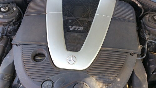 bgtosh's profile picture. 