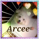 Arcee (@0806Arcee) Twitter
