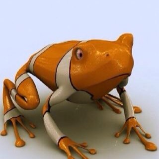 CodegCodeg's profile picture. 