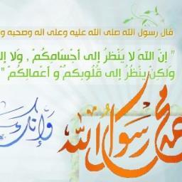 _rassoulollah_'s profile picture. 