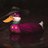 Quackwing's profile image