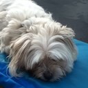 madeline ingram - @m_addi20 - Twitter