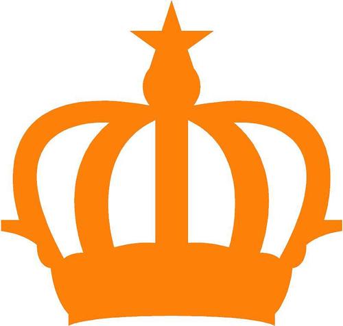 30 april in het Kenaupark in Haarlem : o.a. giga LED scherm, vrijmarkt, optreden Van Dik Hout, bands & meer! #troonswisseling #koninginnedag