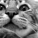 Miranda Wilcox - @MirandaWilcox0 - Twitter