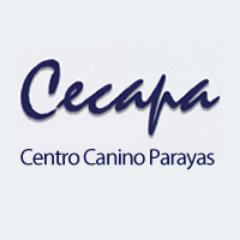 El Cecapa ofrecemos una amplia gama de productos y servicios relacionados con el mundo canino. Nuestra especialidad la cria de perros y el adiestramiento.